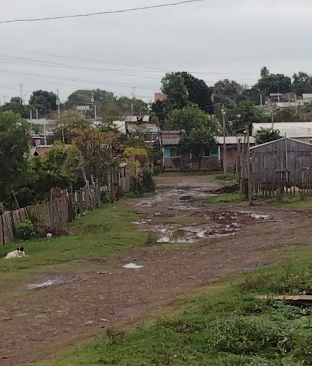 Moradores do Airton Senna alertam que água nas ruas é um convite para o