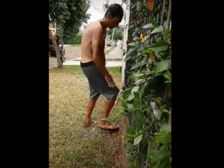 Para fazer o bem não precisa muito: um banho de mangueira, por exemplo